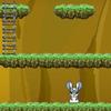 Rabbit Adventure