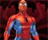 Spiderman Memory